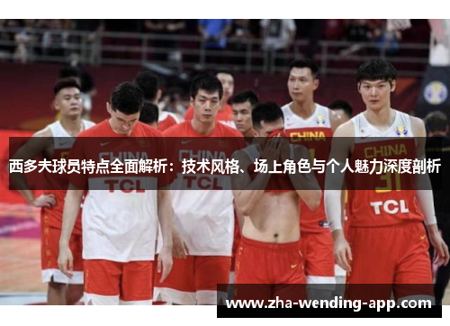 西多夫球员特点全面解析：技术风格、场上角色与个人魅力深度剖析