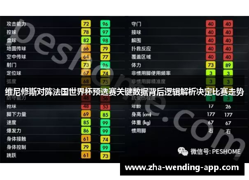维尼修斯对阵法国世界杯预选赛关键数据背后逻辑解析决定比赛走势 维尼修斯对阵法国世界杯预选赛关键数据背后逻辑解析决定比赛走势